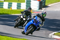 Lower Group Blue Bikes
